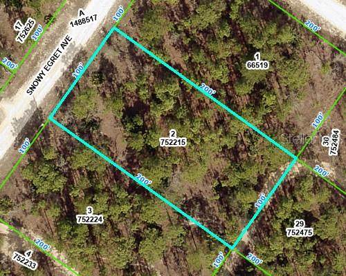 12388 Snowy Egret Avenue - Photo 1