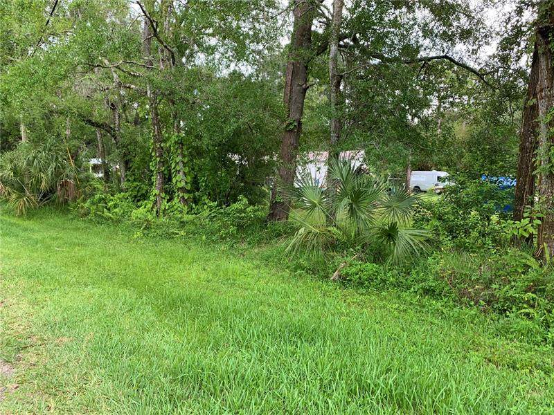 3354 Elfers Parkway - Photo 1