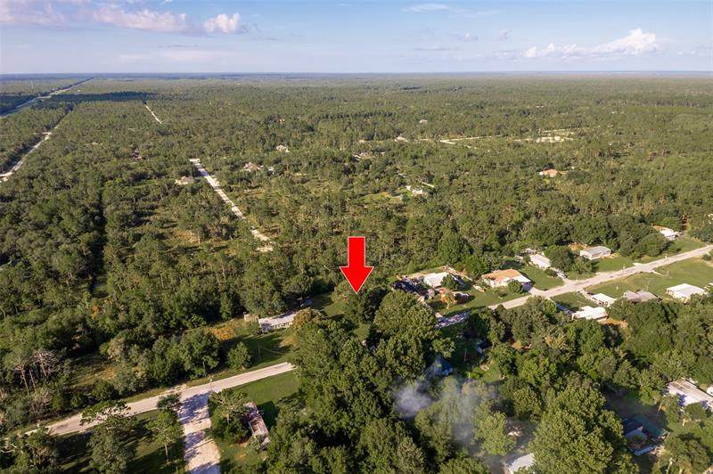 7440 Chassahowitzka Street - Photo 1