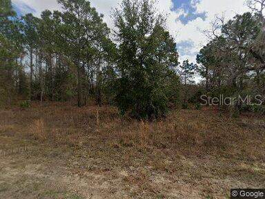 16028 Cave Swallow Road - Photo 1