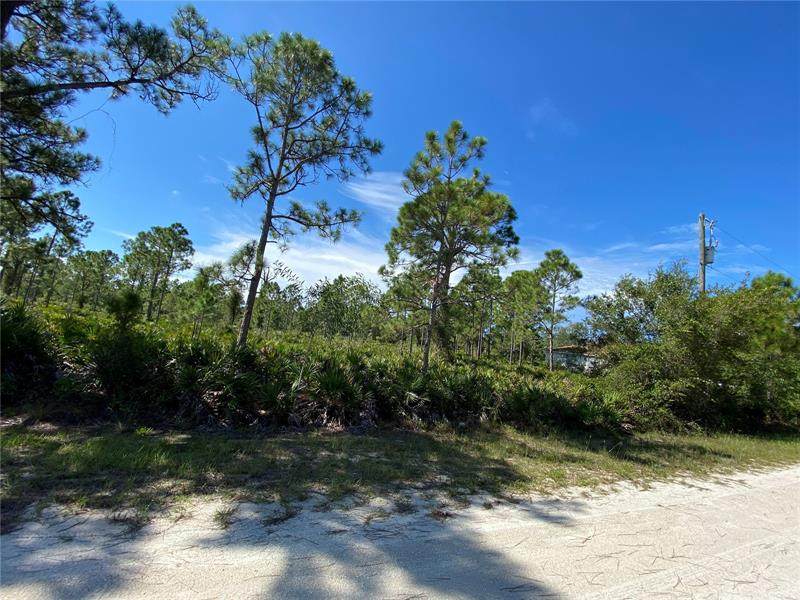 27043 Seeger Dr - Photo 1