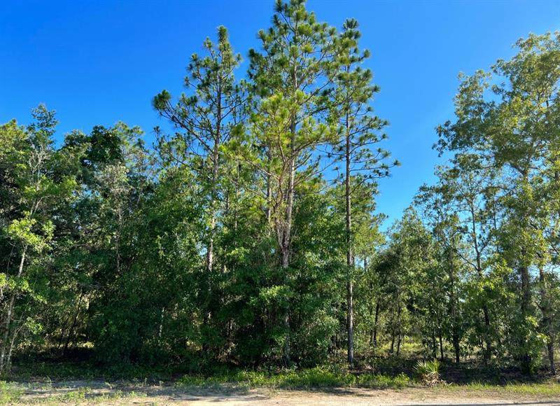 13422 Rain Owl Avenue - Photo 1