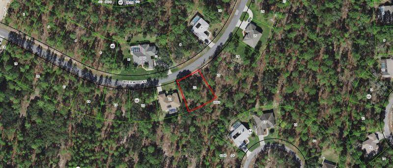 49 Whitewood Street - Photo 1