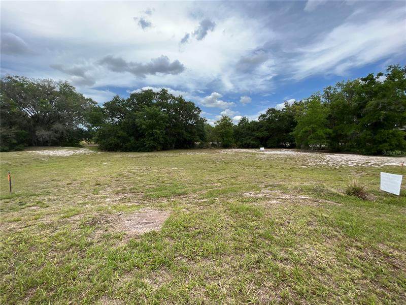 12917 Seronera Valley Court - Photo 1