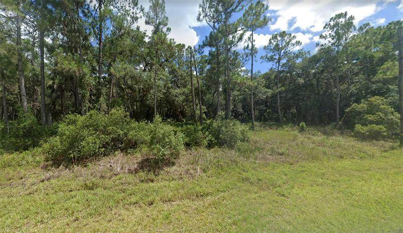 Ulman Avenue - Photo 1
