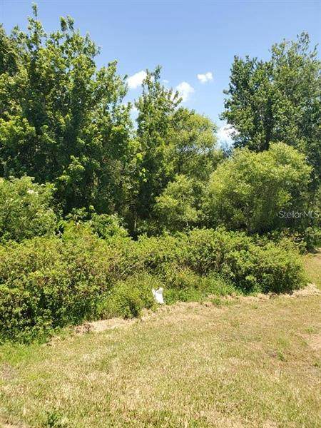 0000 Rowan Road - Photo 1