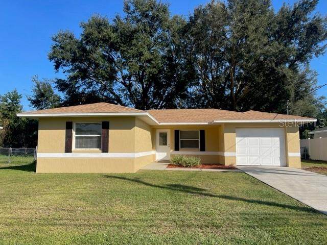 345 Honey Bee Lane - Photo 1