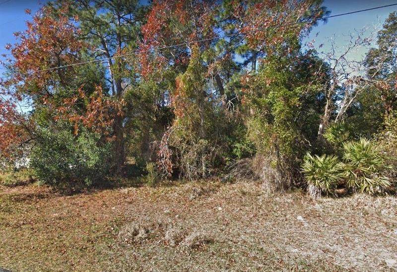 5045 Keysville Avenue - Photo 1