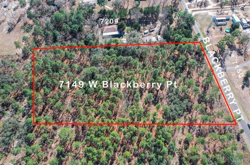 7149 Blackberry Point - Photo 1