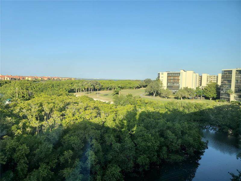 900 Cove Cay Drive - Photo 1