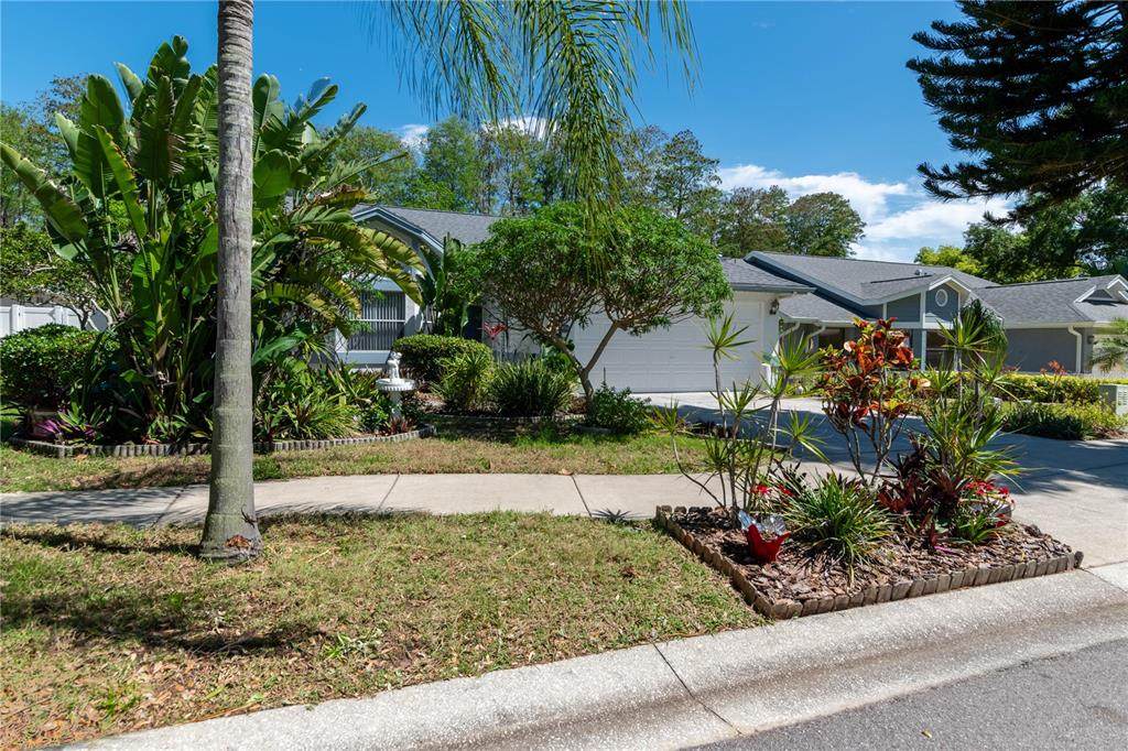 1691 Polo Club Drive, Tarpon Springs, FL 34689 (U8237729) Southwest