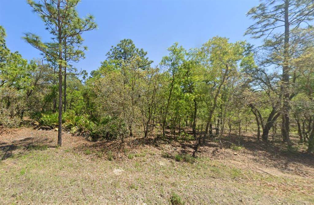  125 Terrace - Photo 1
