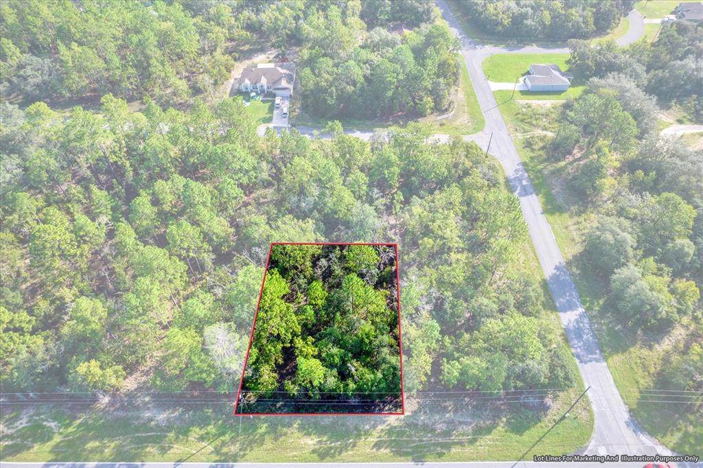895 W Hampshire Boulevard - Photo 1