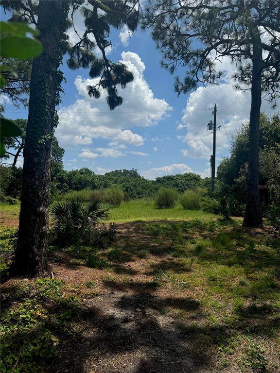 8300 101ST Avenue - Photo 1