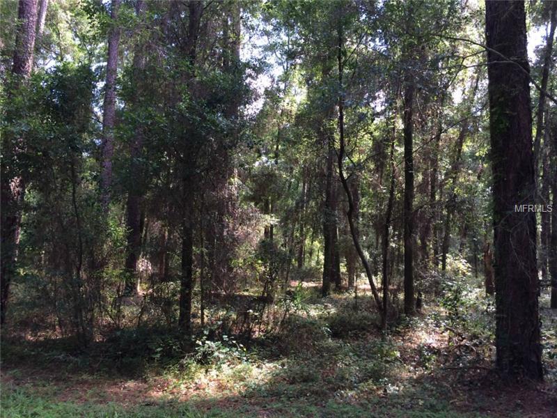 Lot 1 Taylor Woods - Photo 1