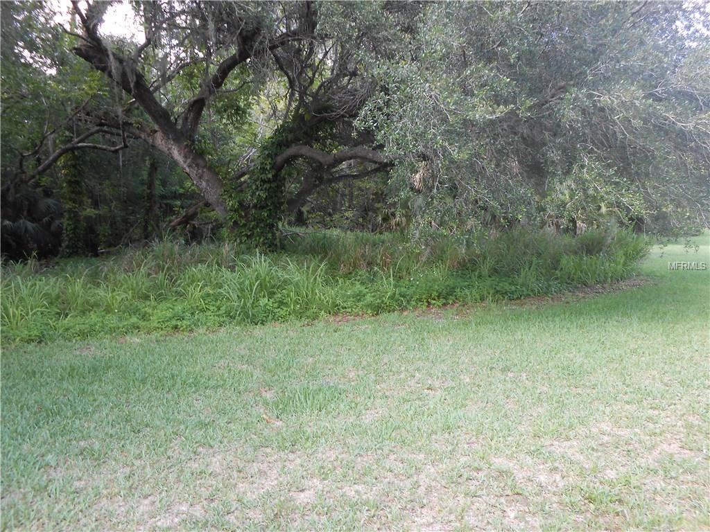Paolini Drive - Photo 1