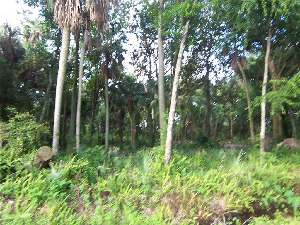 Kettledrum Trail - Photo 1