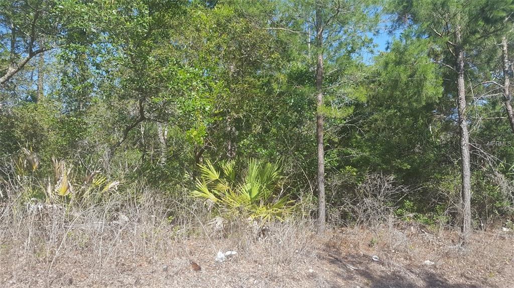 Chestnut Avenue - Photo 1