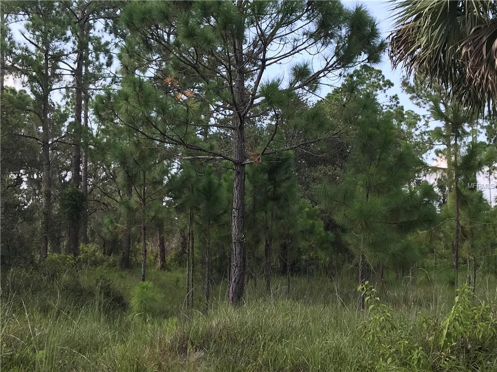 31211 Lake Mack Rd - Photo 1