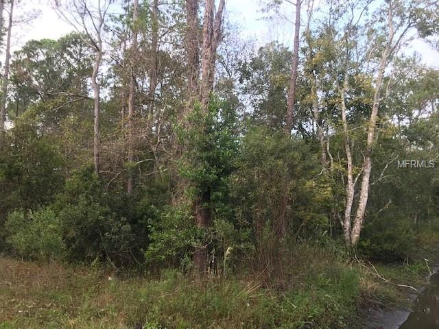 2290 East Parkway - Photo 1