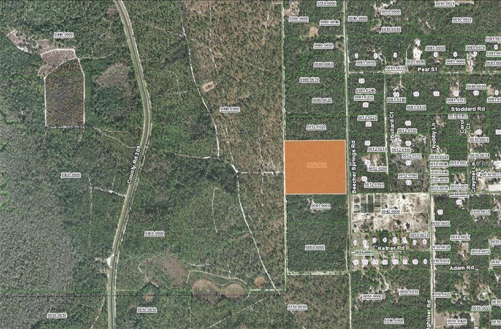 Beecher Springs Rd - Photo 1