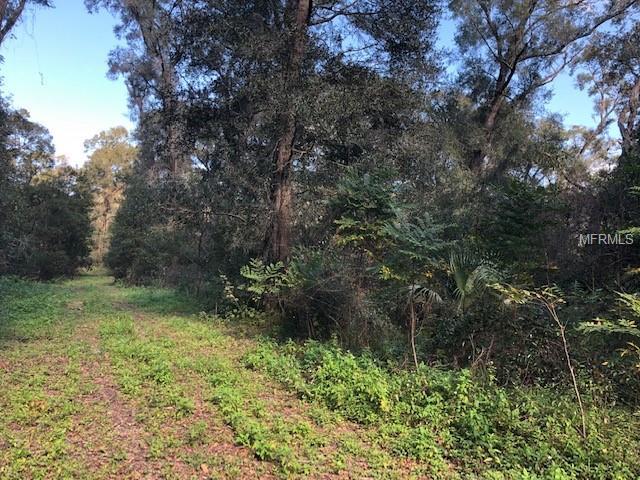 1751 Glen Hammock Drive - Photo 1