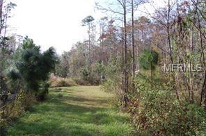 Gum Road - Photo 1