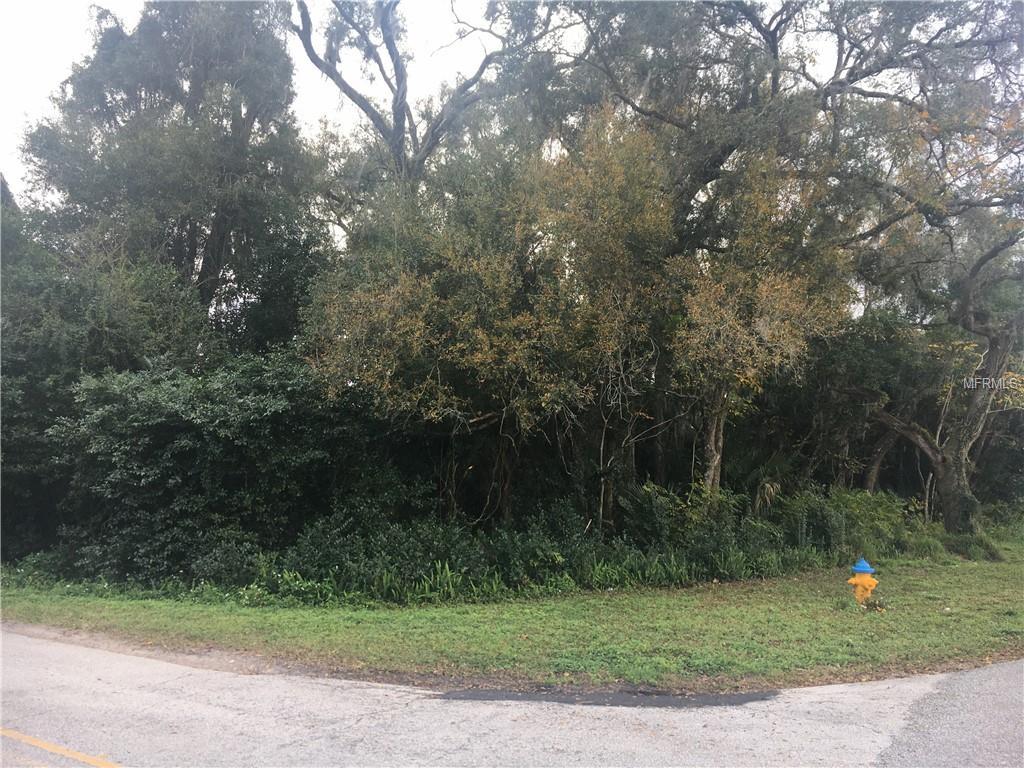 Boundary Avenue - Photo 1