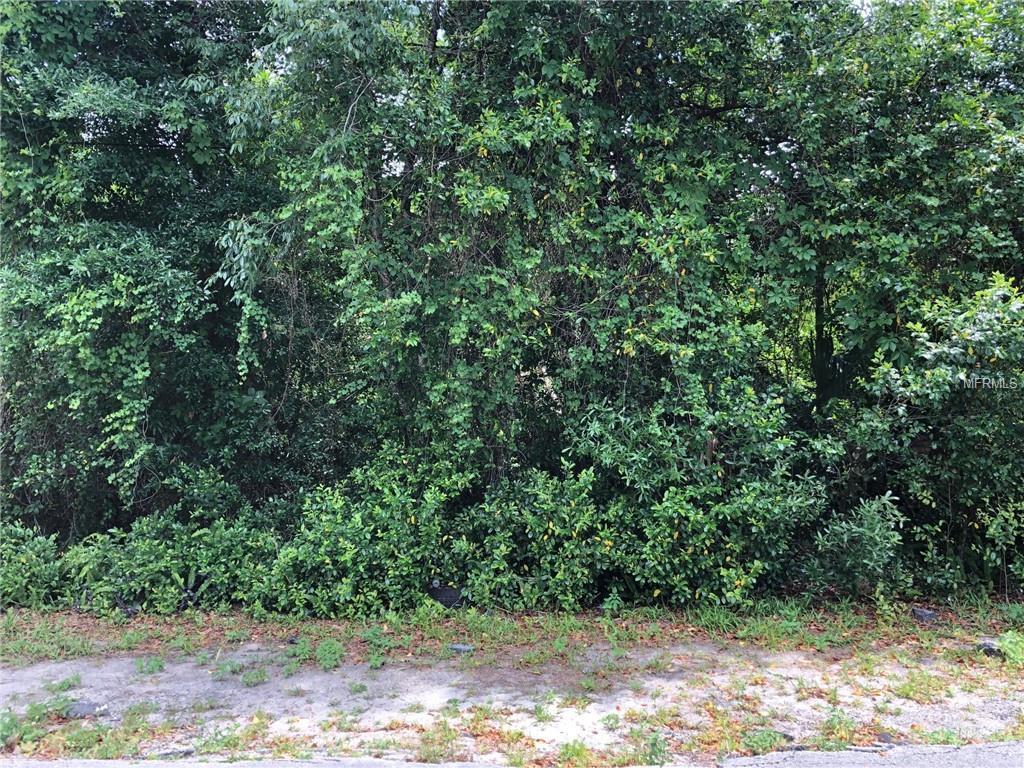 Quince Avenue - Photo 1