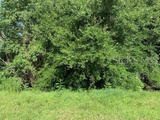1650 Timber Edge Drive - Photo 1