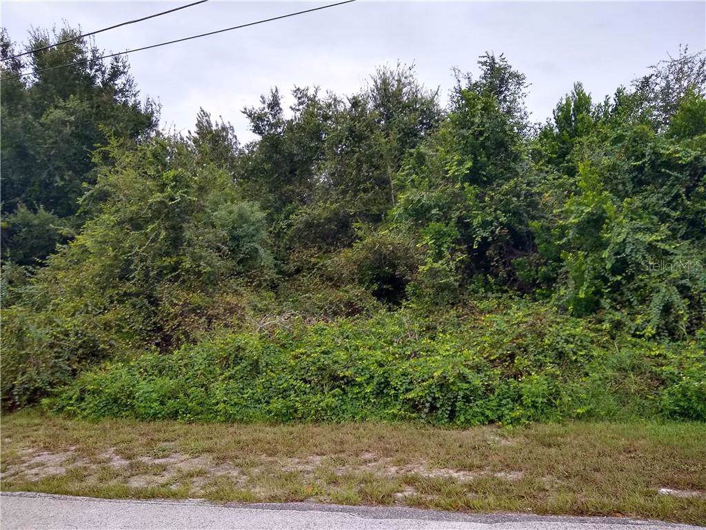 1741 Amboy Drive - Photo 1