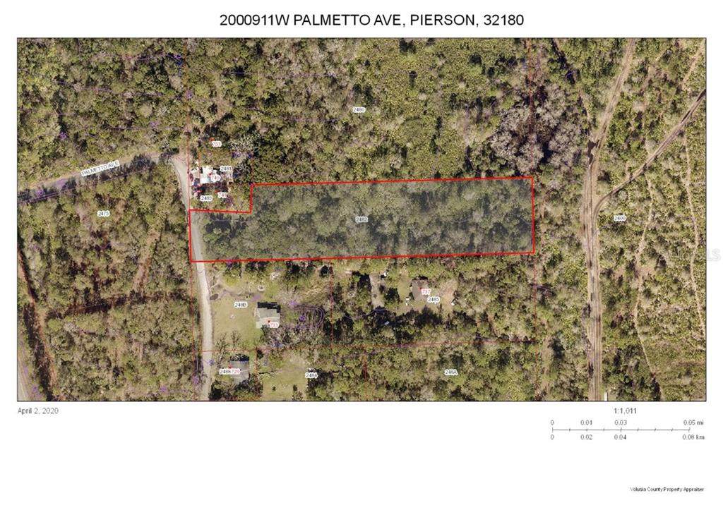 Palmetto Avenue - Photo 1