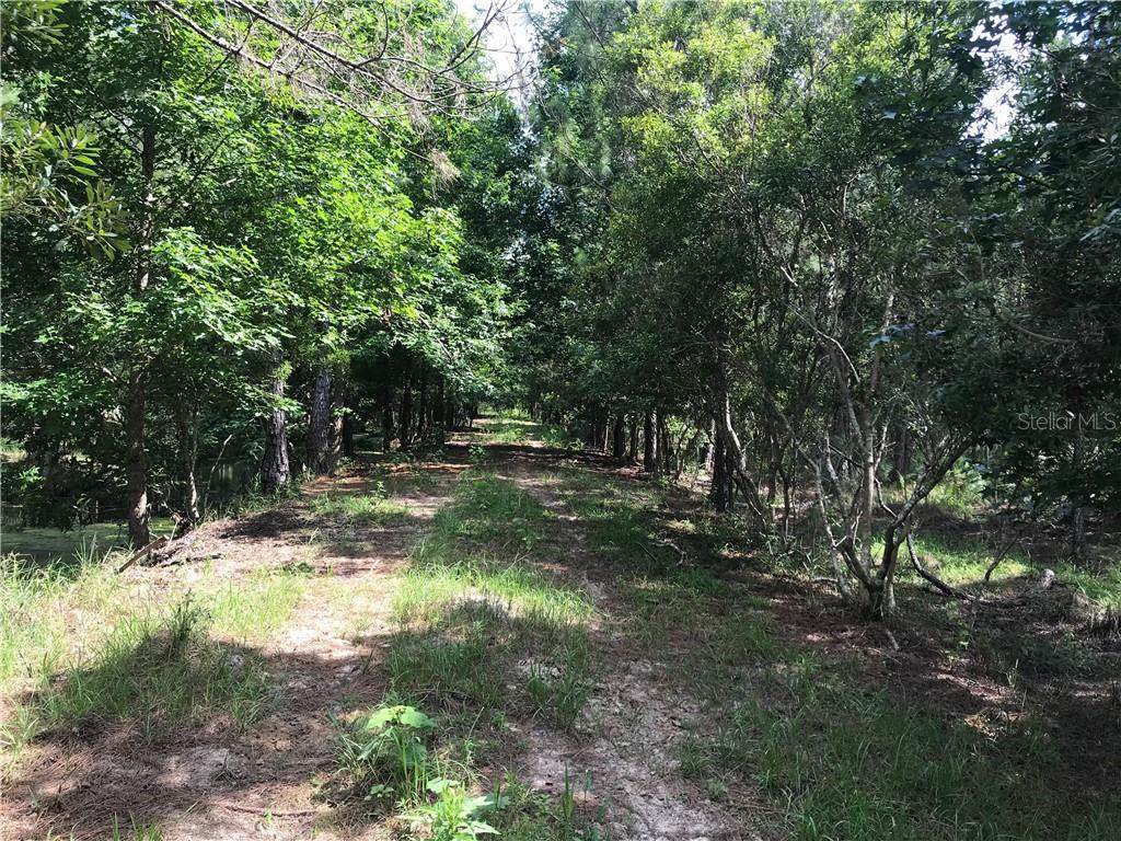 15539 County Road 305 - Photo 1