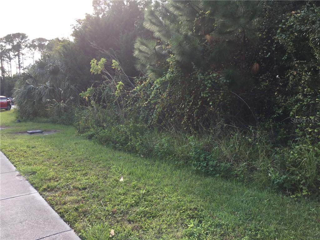 34 Charles Richard Beall Boulevard - Photo 1