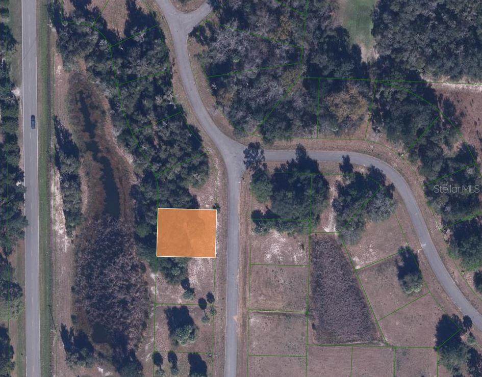 717 Live Oak Loop - Photo 1