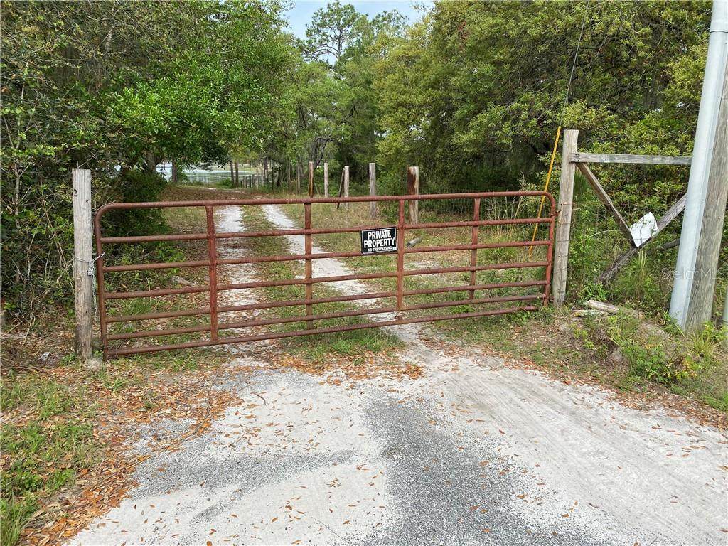 39033 Forest Drive - Photo 1