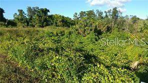 Deltona Boulevard - Photo 1