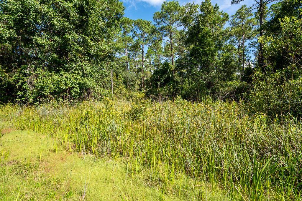 Indian Mound Trail - Photo 1