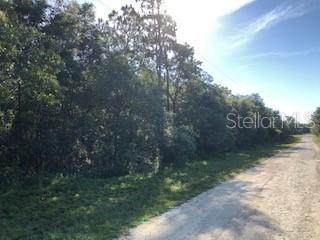 0 Elaine Drive - Photo 1