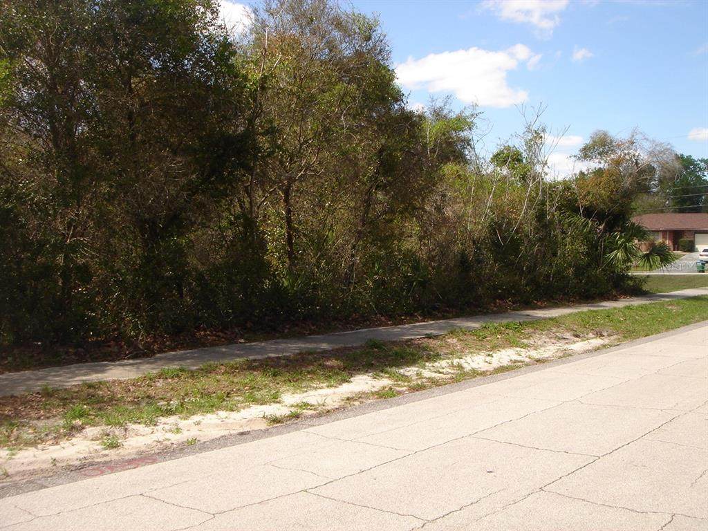 2708 Leafy Way Lane - Photo 1