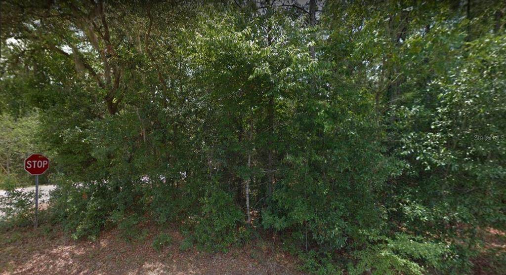5190 Walter Lane - Photo 1