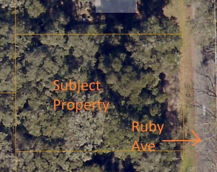 Ruby Avenue - Photo 1