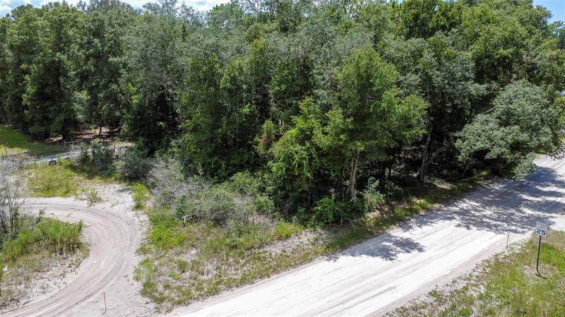 Brown Avenue - Photo 1