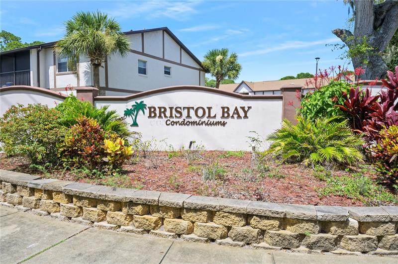 420 Banana Cay Drive - Photo 1