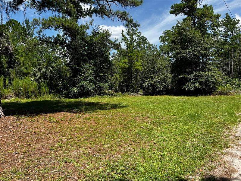 41741 Sweet Bay - Photo 1