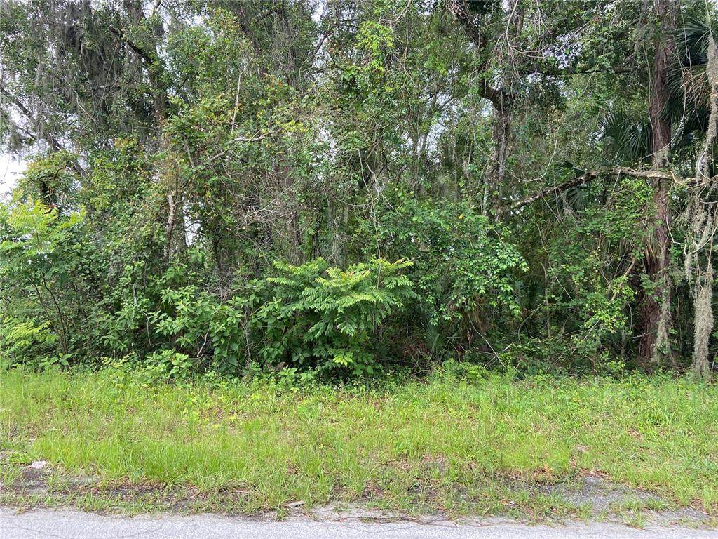 Wilson Avenue - Photo 1