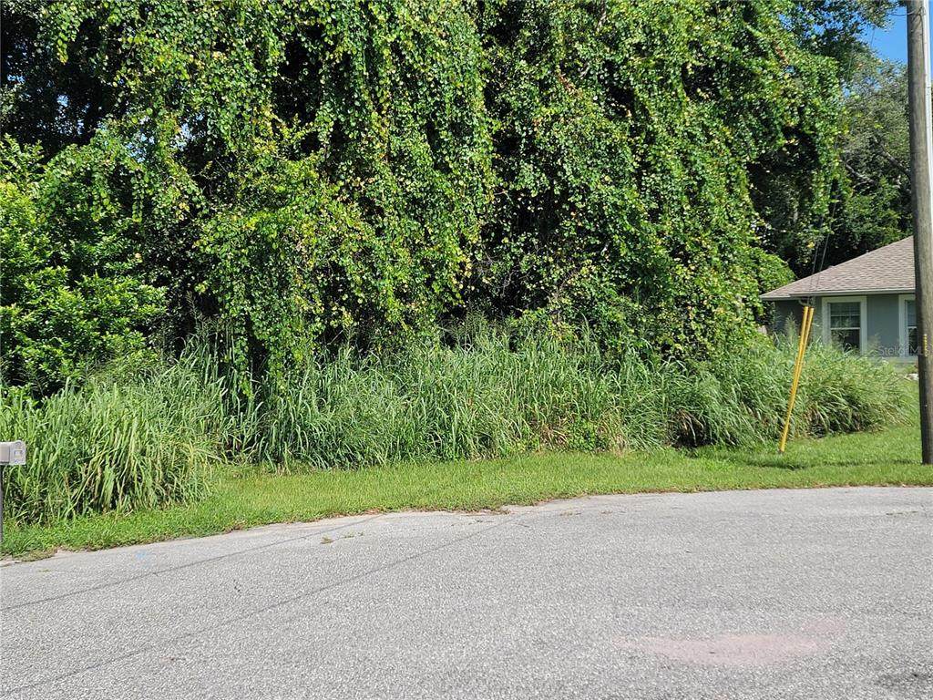 432 Chestnut Court - Photo 1