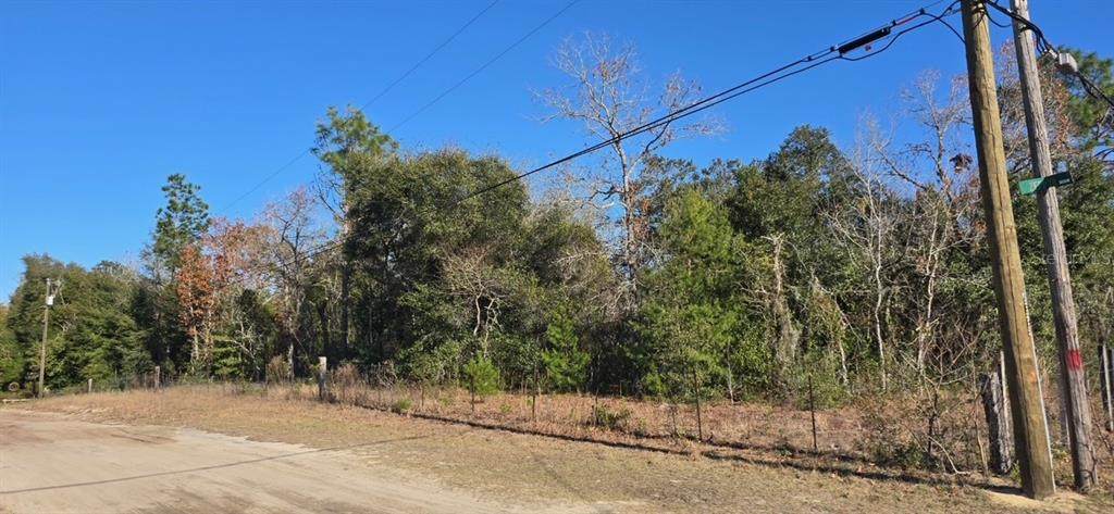7195 Gas Line Road - Photo 1
