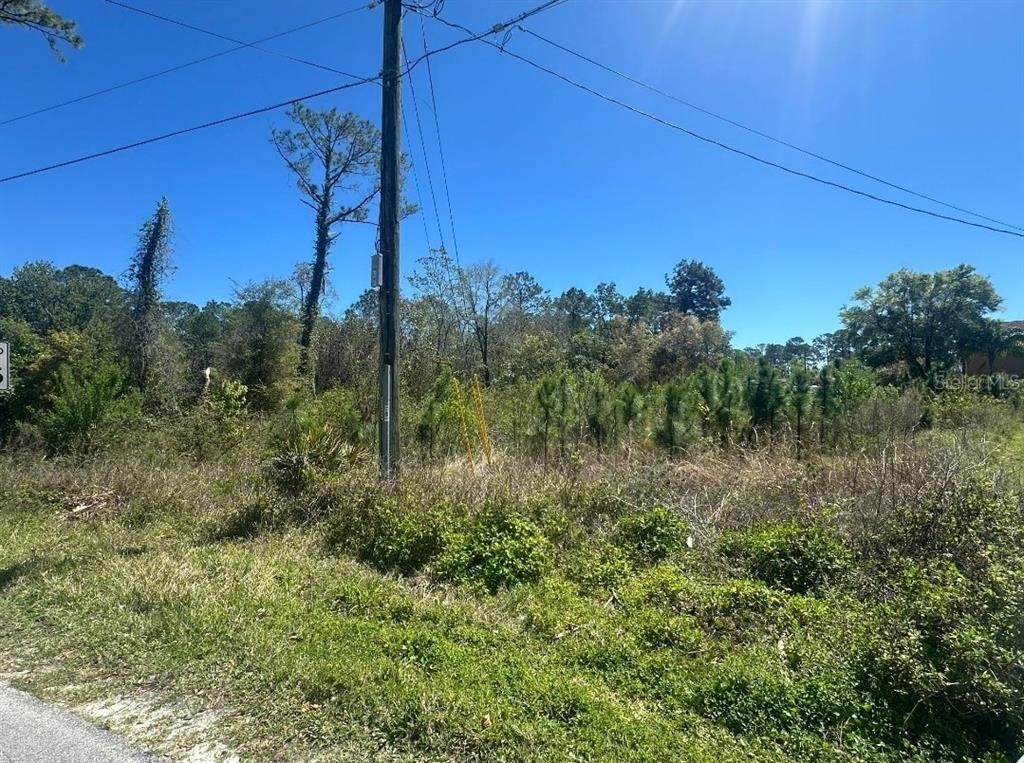 2548 Lake Drive - Photo 1