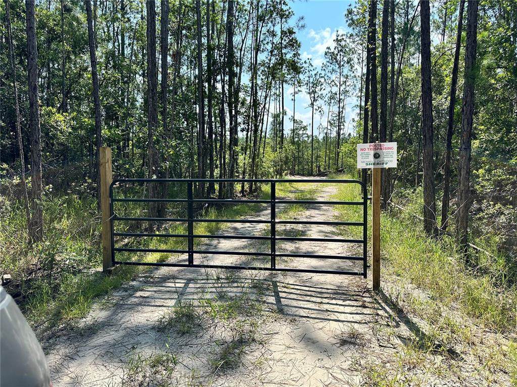 3789 Pine Pitch Court - Photo 1